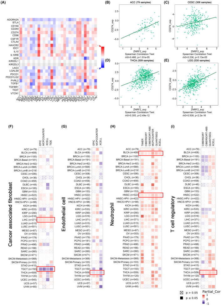PMC10623518 – jcmm17900-fig-0006