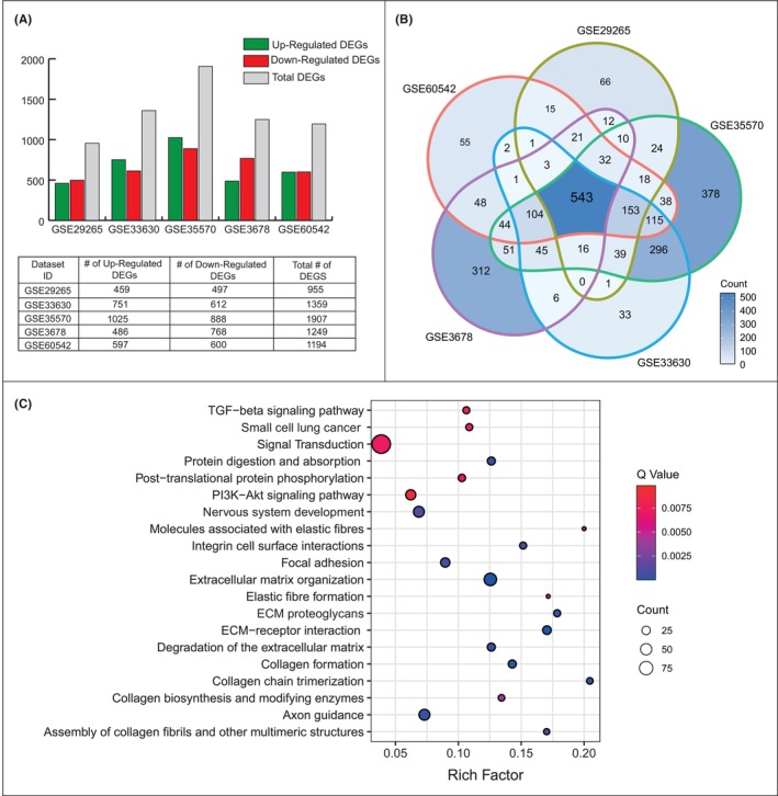 PMC10746936 – jcmm18002-fig-0001