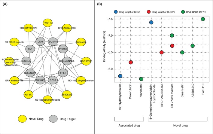 PMC10746936 – jcmm18002-fig-0004