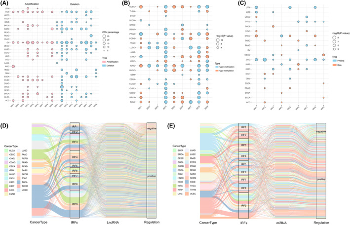 PMC10844690 – jcmm18084-fig-0002