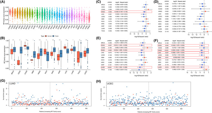 PMC10844690 – jcmm18084-fig-0003