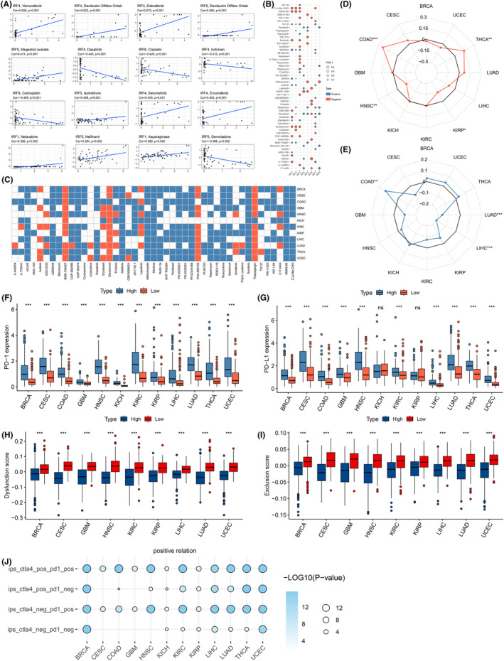 PMC10844690 – jcmm18084-fig-0005