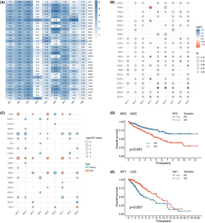 PMC10844690 – jcmm18084-fig-0001