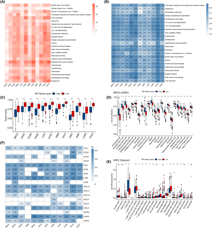 PMC10844690 – jcmm18084-fig-0004