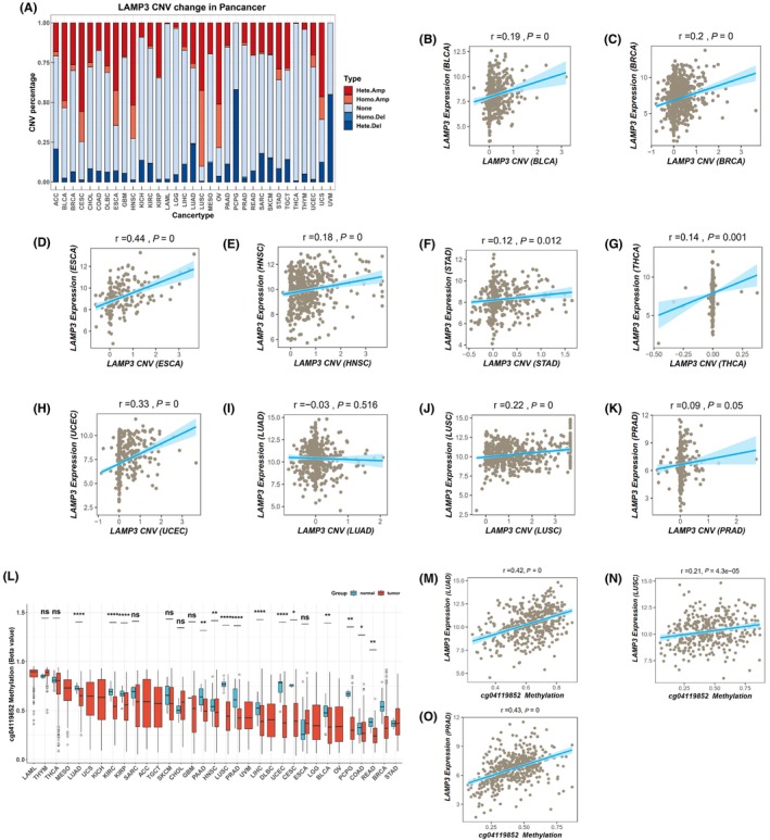 PMC10844704 – jcmm18088-fig-0003