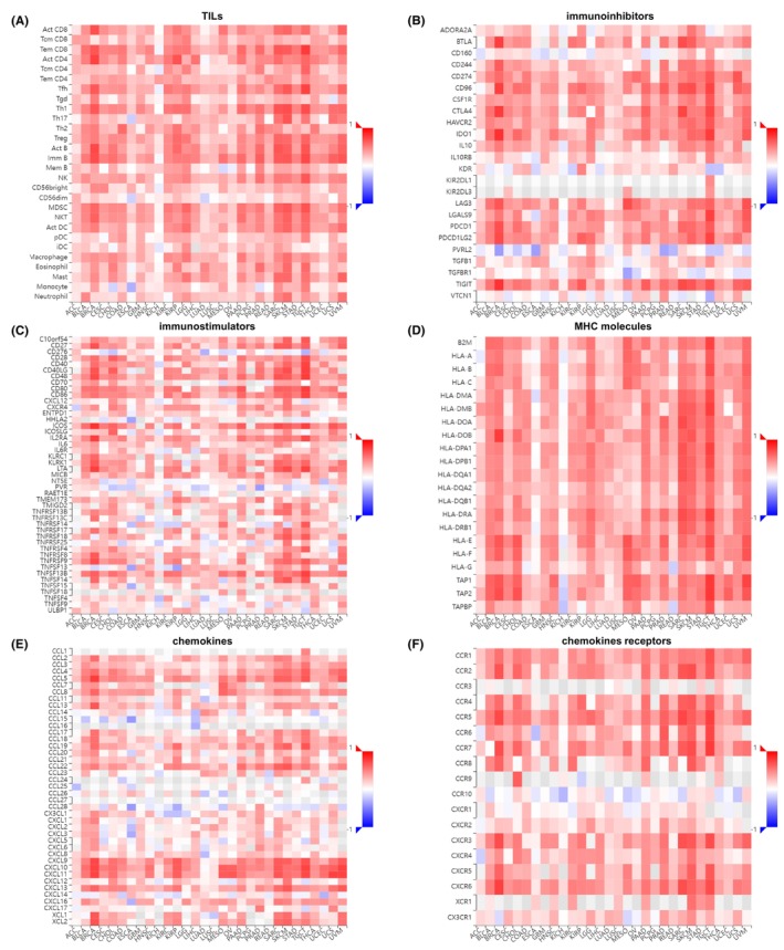 PMC10844704 – jcmm18088-fig-0004
