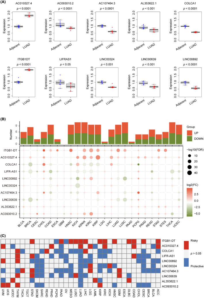 PMC11034373 – jcmm18282-fig-0010
