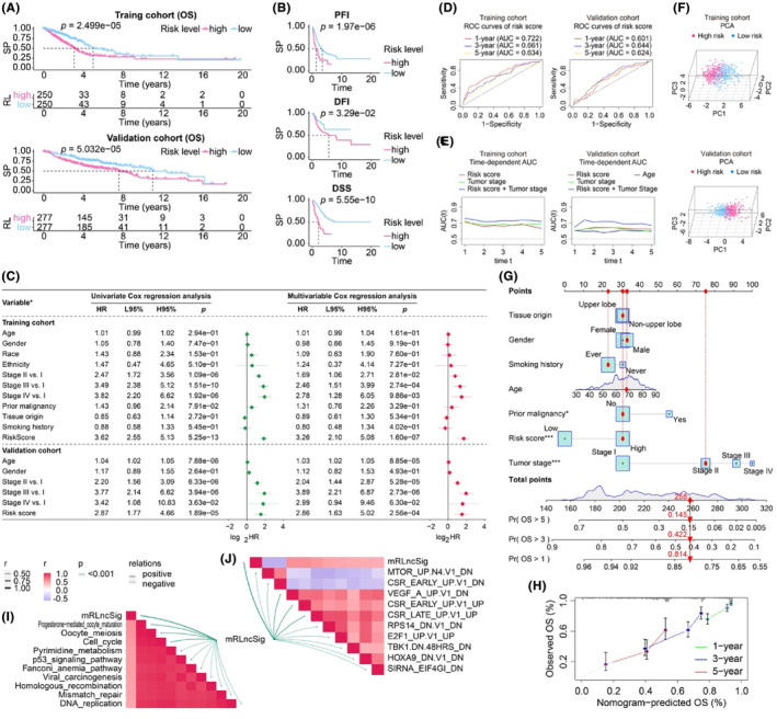 PMC11034373 – jcmm18282-fig-0005