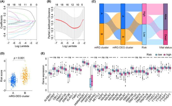 PMC11034373 – jcmm18282-fig-0004