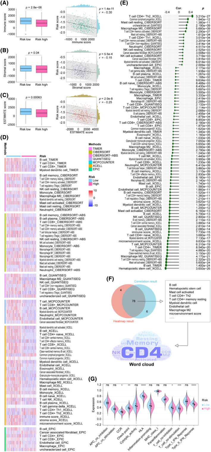 PMC11034373 – jcmm18282-fig-0006
