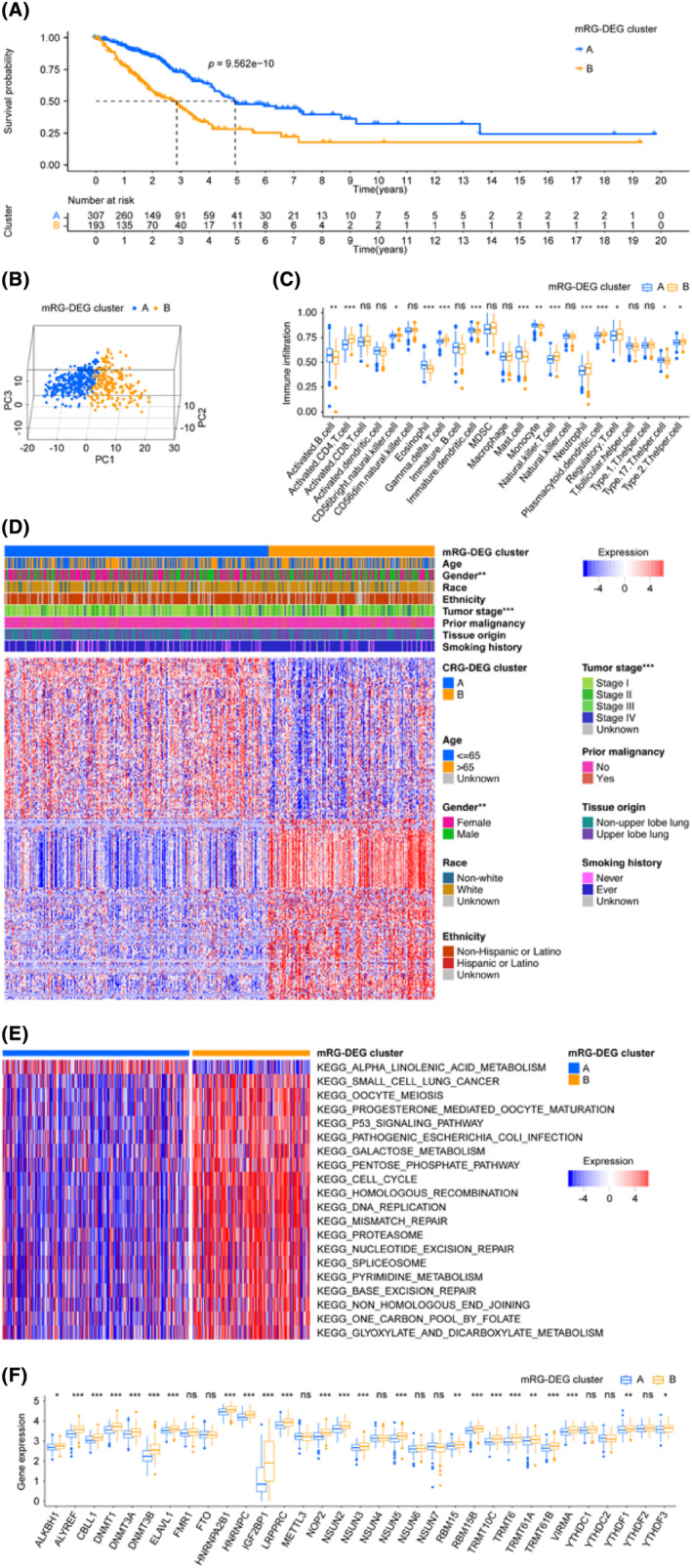 PMC11034373 – jcmm18282-fig-0003