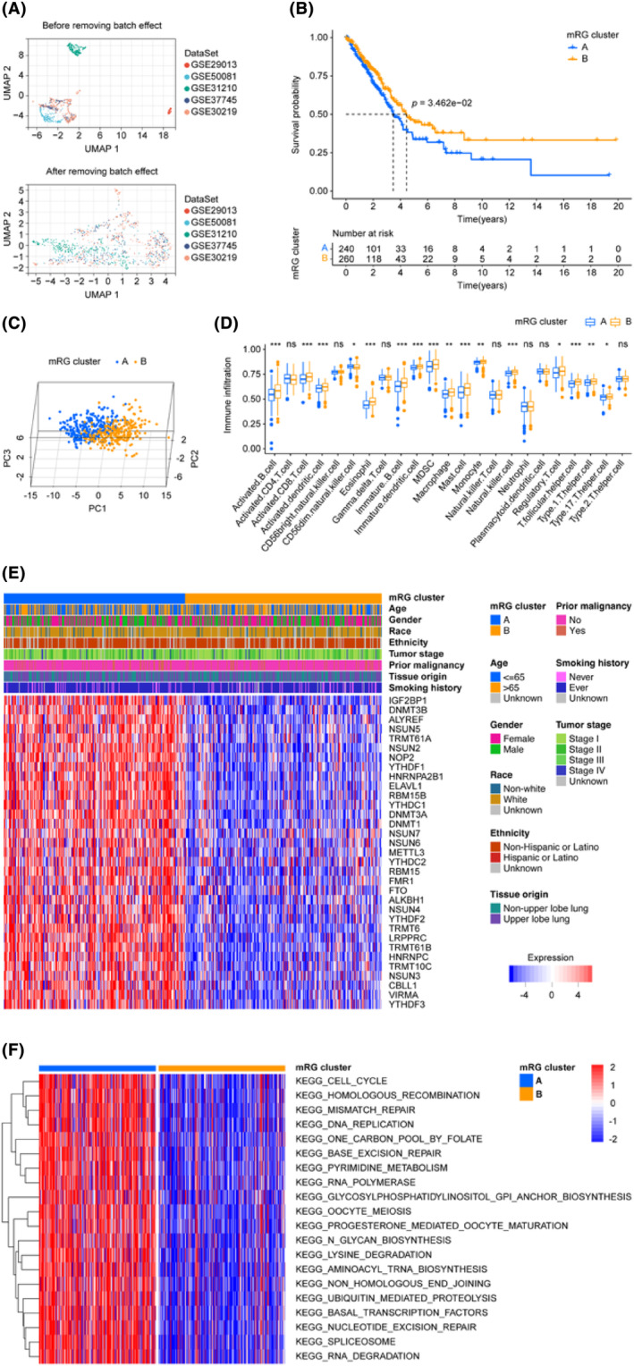 PMC11034373 – jcmm18282-fig-0002