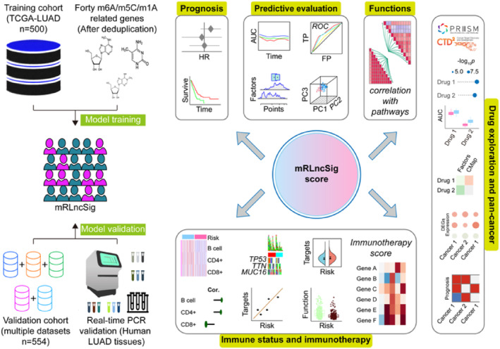 PMC11034373 – jcmm18282-fig-0001