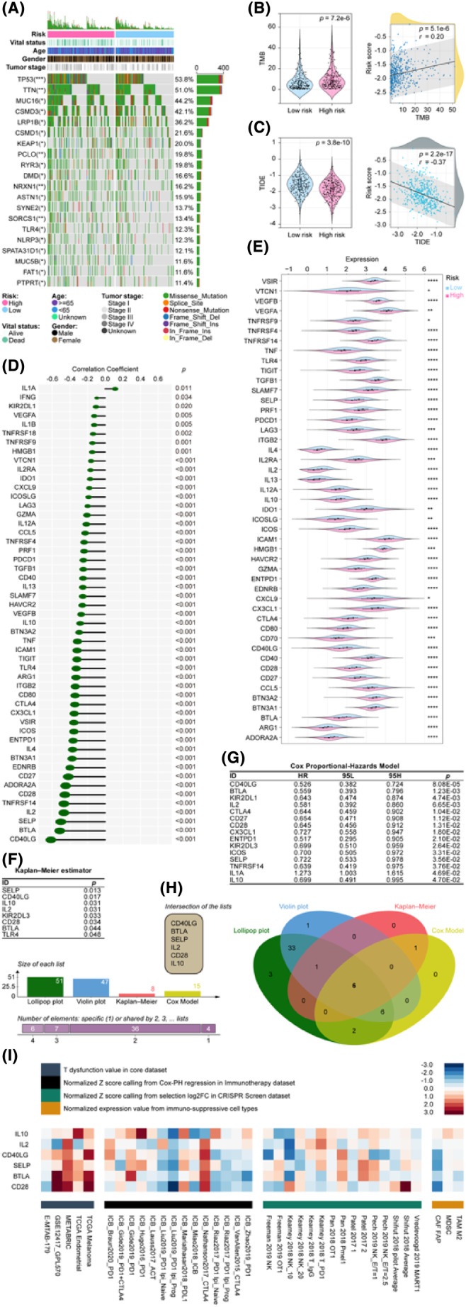 PMC11034373 – jcmm18282-fig-0007