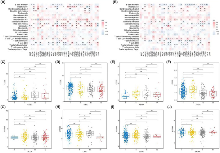 PMC11092527 – jcmm18286-fig-0008