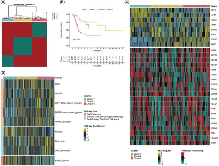 PMC11092527 – jcmm18286-fig-0001