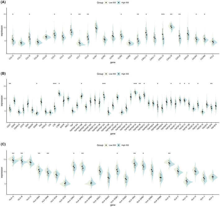 PMC11092527 – jcmm18286-fig-0005