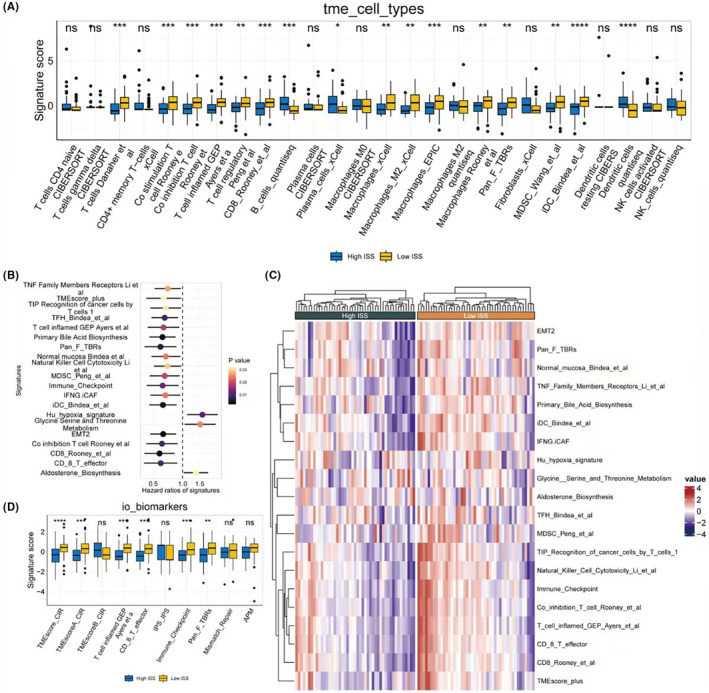 PMC11092527 – jcmm18286-fig-0004