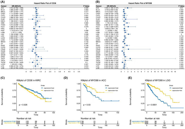 PMC11092527 – jcmm18286-fig-0009