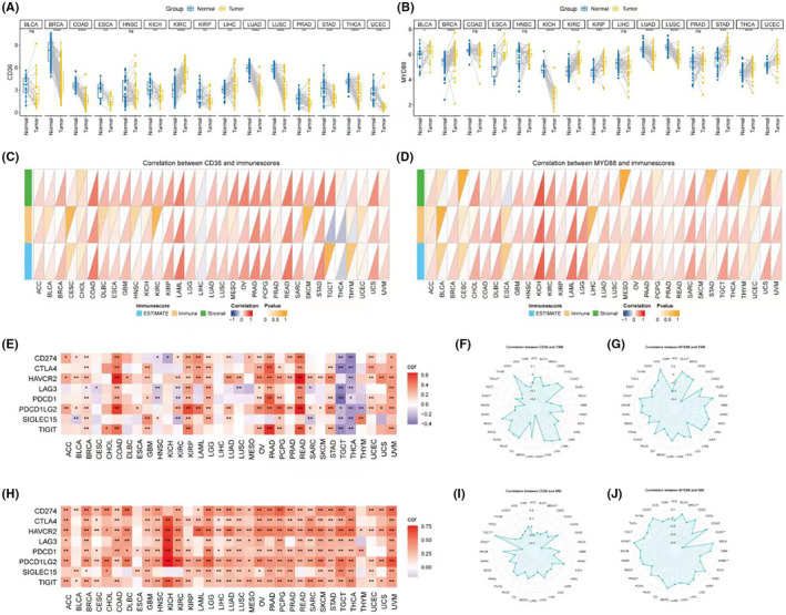 PMC11092527 – jcmm18286-fig-0007