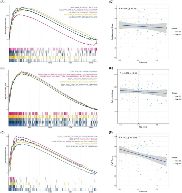 PMC11092527 – jcmm18286-fig-0006