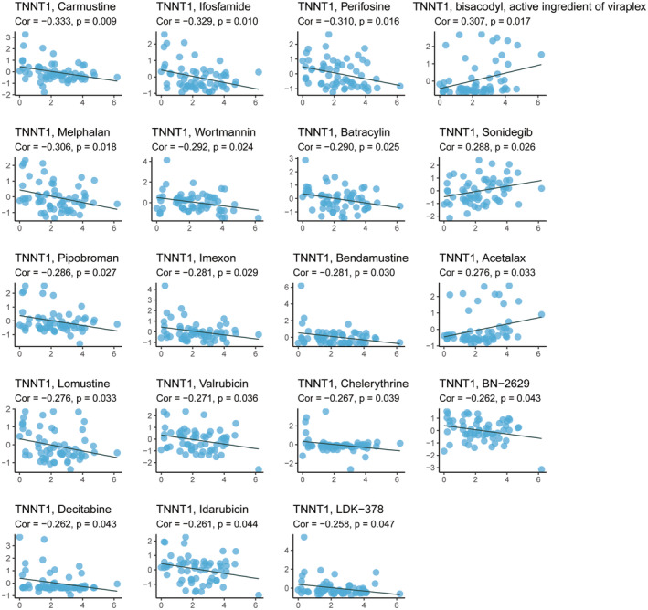 PMC11163025 – jcmm18410-fig-0006
