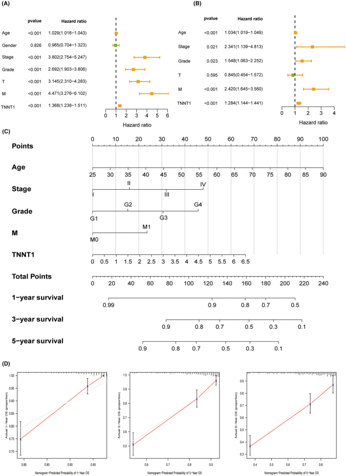 PMC11163025 – jcmm18410-fig-0008