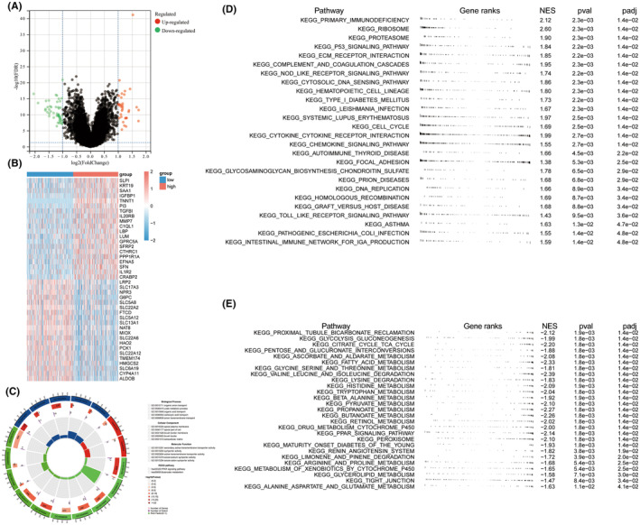 PMC11163025 – jcmm18410-fig-0009