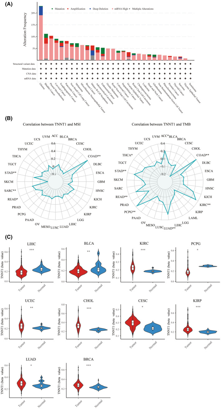 PMC11163025 – jcmm18410-fig-0003