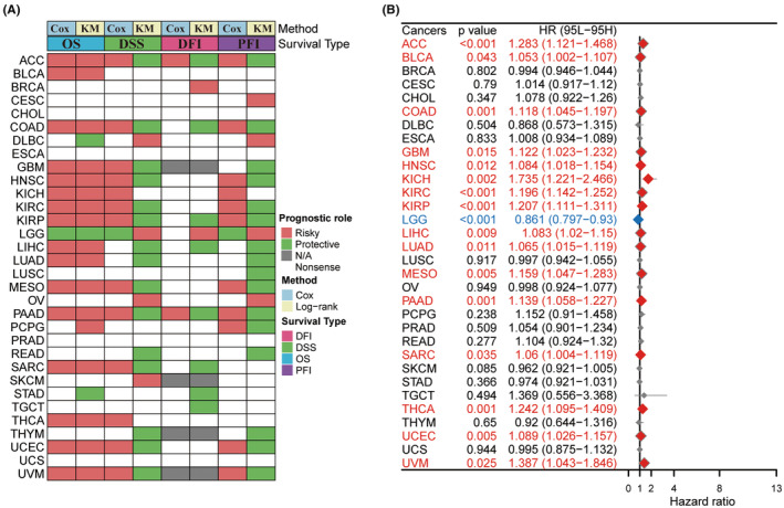 PMC11163025 – jcmm18410-fig-0002