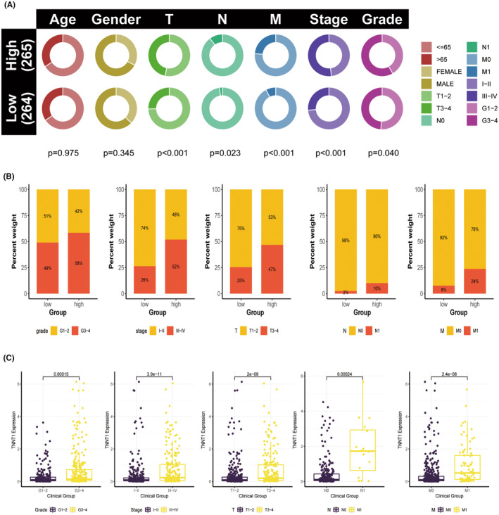 PMC11163025 – jcmm18410-fig-0007