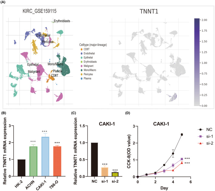 PMC11163025 – jcmm18410-fig-0012