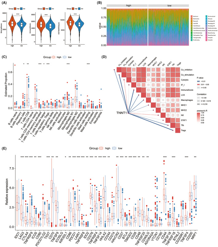 PMC11163025 – jcmm18410-fig-0010