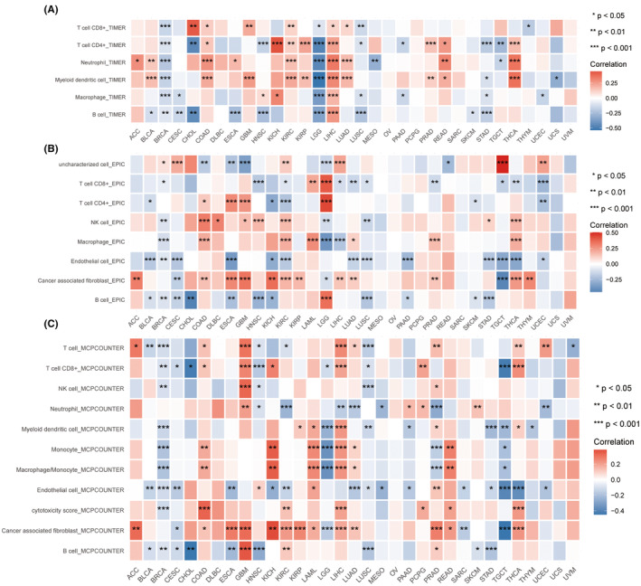 PMC11163025 – jcmm18410-fig-0005