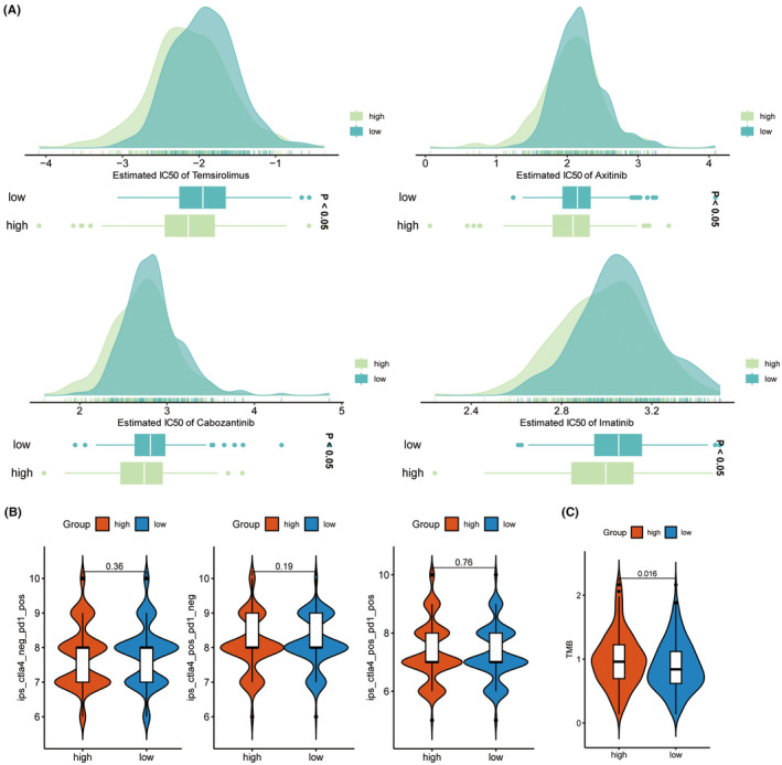 PMC11163025 – jcmm18410-fig-0011