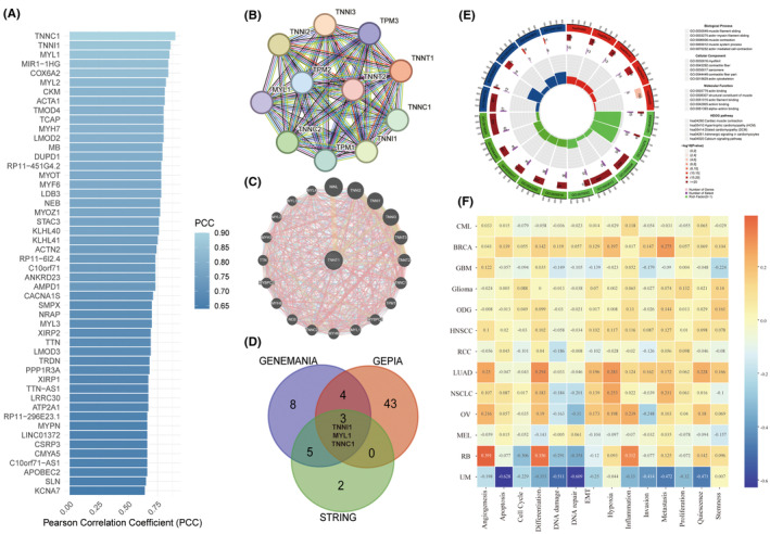 PMC11163025 – jcmm18410-fig-0004