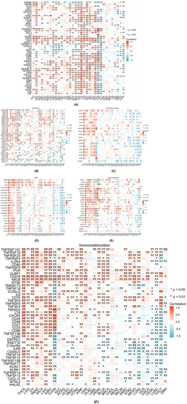 PMC11187167 – jcmm18475-fig-0011