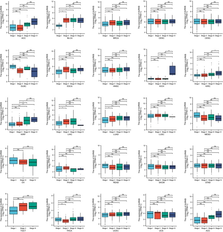 PMC11187167 – jcmm18475-fig-0008