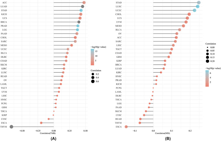 PMC11187167 – jcmm18475-fig-0012