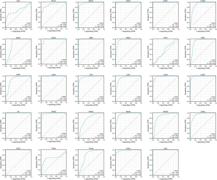 PMC11187167 – jcmm18475-fig-0003
