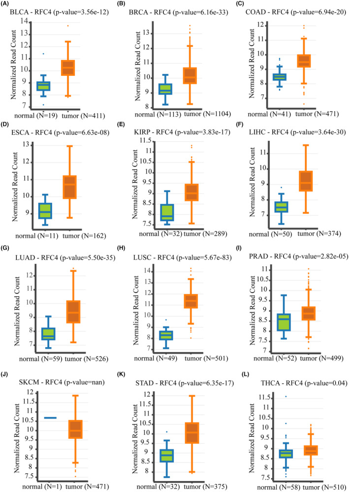 PMC11190950 – jcmm18478-fig-0002