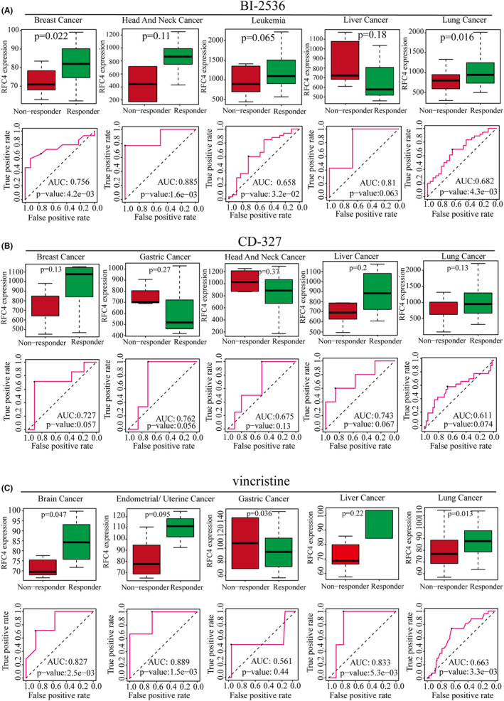 PMC11190950 – jcmm18478-fig-0006
