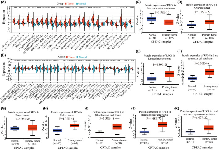 PMC11190950 – jcmm18478-fig-0001