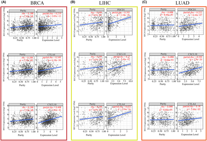PMC11190950 – jcmm18478-fig-0003