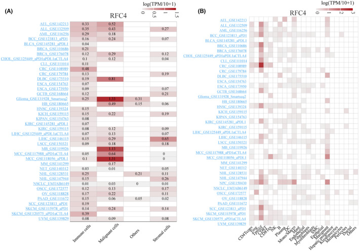 PMC11190950 – jcmm18478-fig-0004