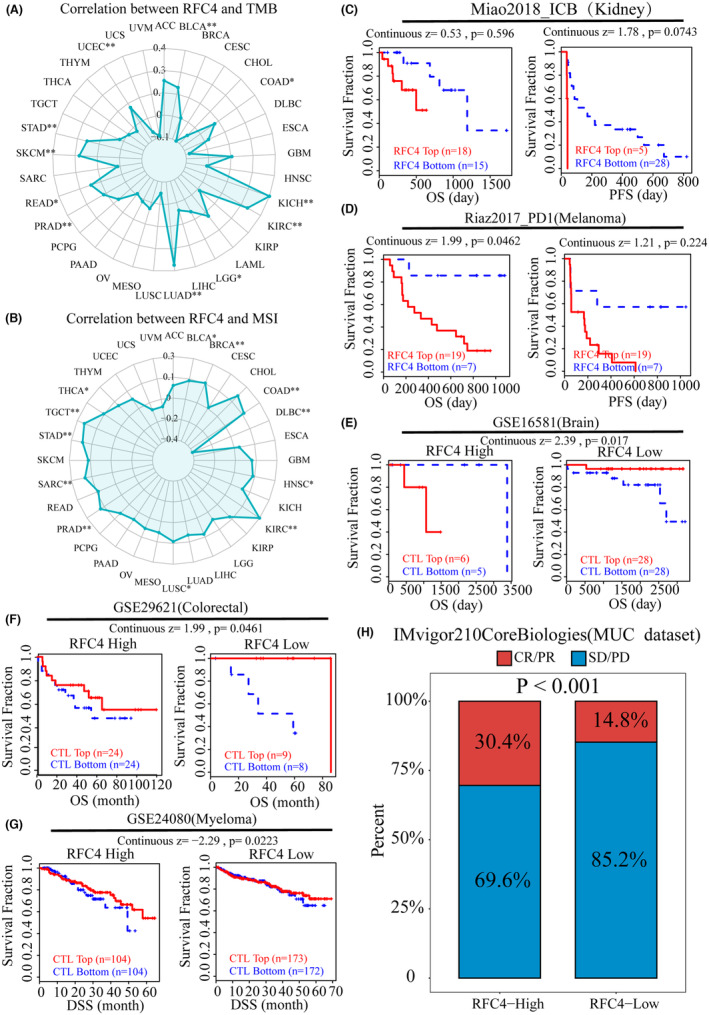 PMC11190950 – jcmm18478-fig-0005