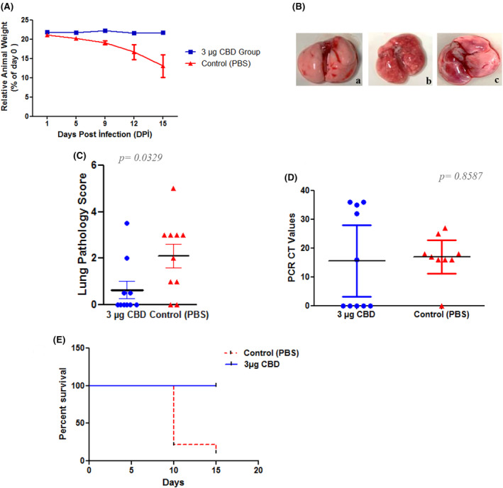 PMC11392655 – jcmm70030-fig-0002