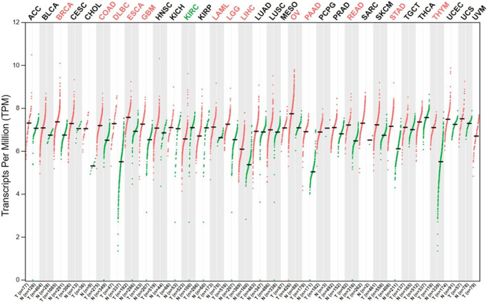 PMC11345122 – jcmm70037-fig-0002