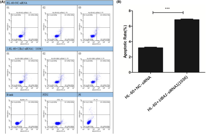 PMC11345122 – jcmm70037-fig-0010