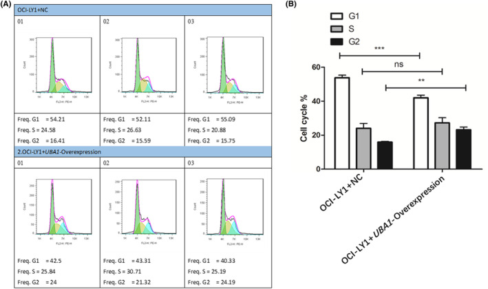 PMC11345122 – jcmm70037-fig-0007